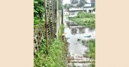 পানিবন্দি নাচোল পৌরবাসী : চলাচলে চরম জনদুর্ভোগ