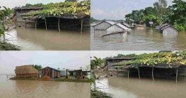 চাঁপাইনবাবগঞ্জে নিম্নাঞ্চল প্লাবিত পানিবন্দি ১১ হাজার পরিবার
