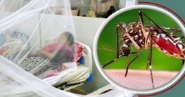 চাঁপাইনবাবগঞ্জে চোখ রাঙাচ্ছে ডেঙ্গু
