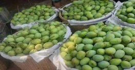 মণ নয়, আম কেনাবেচা করতে হবে কেজি দরে!