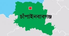 গোমস্তাপুরে সাপের কামড়ে যুবকের মৃত্যু