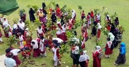 চাঁপাইনবাবগঞ্জে দুই অটোরাইস মিলকে জরিমানা